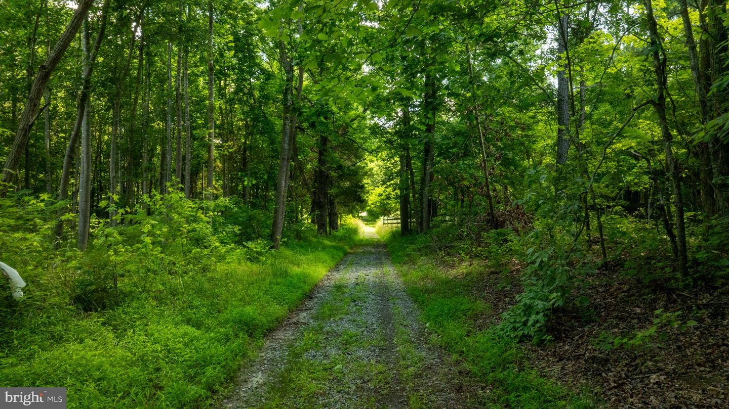 Champlain Real Estate Listings Main Image