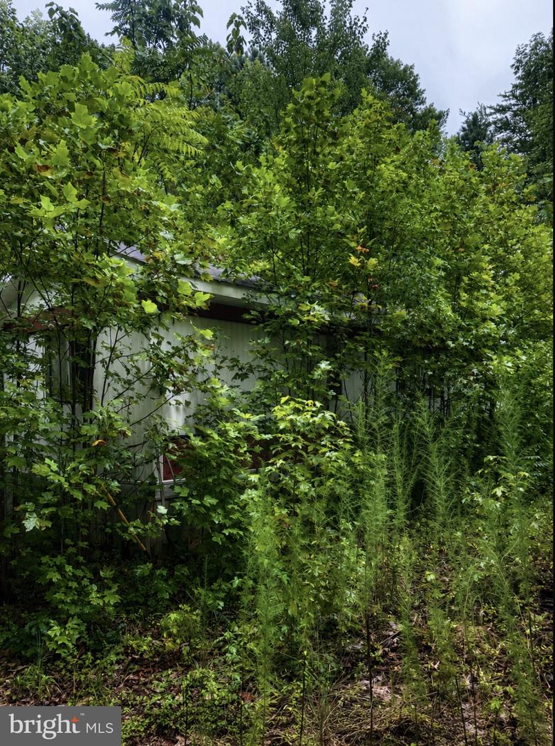 448 PILKINGTON RD