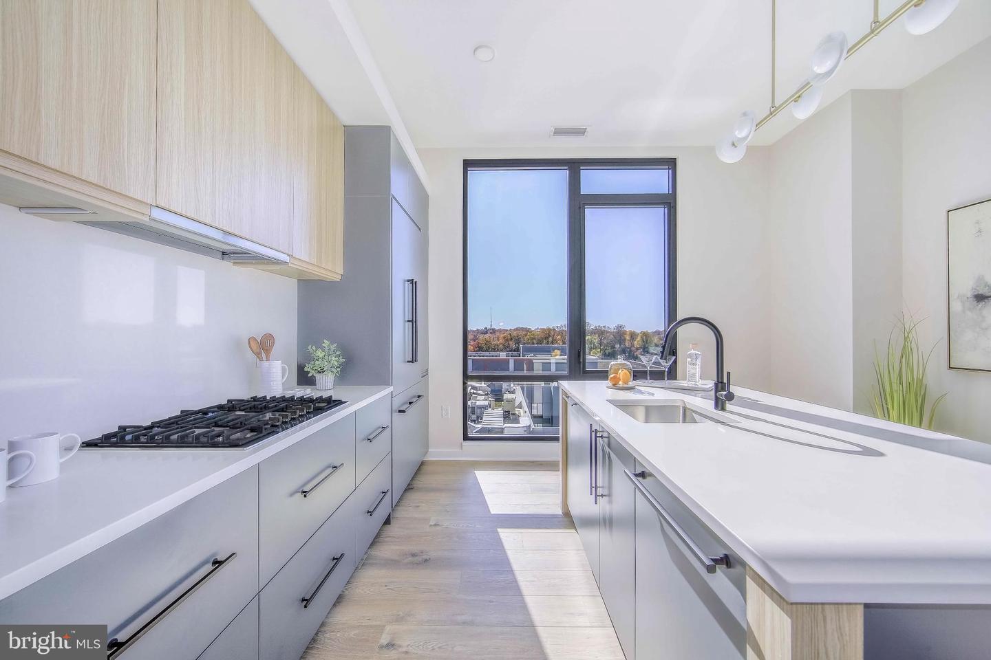 255 W. Falls Station Blvd #ph2 Property Photo 9