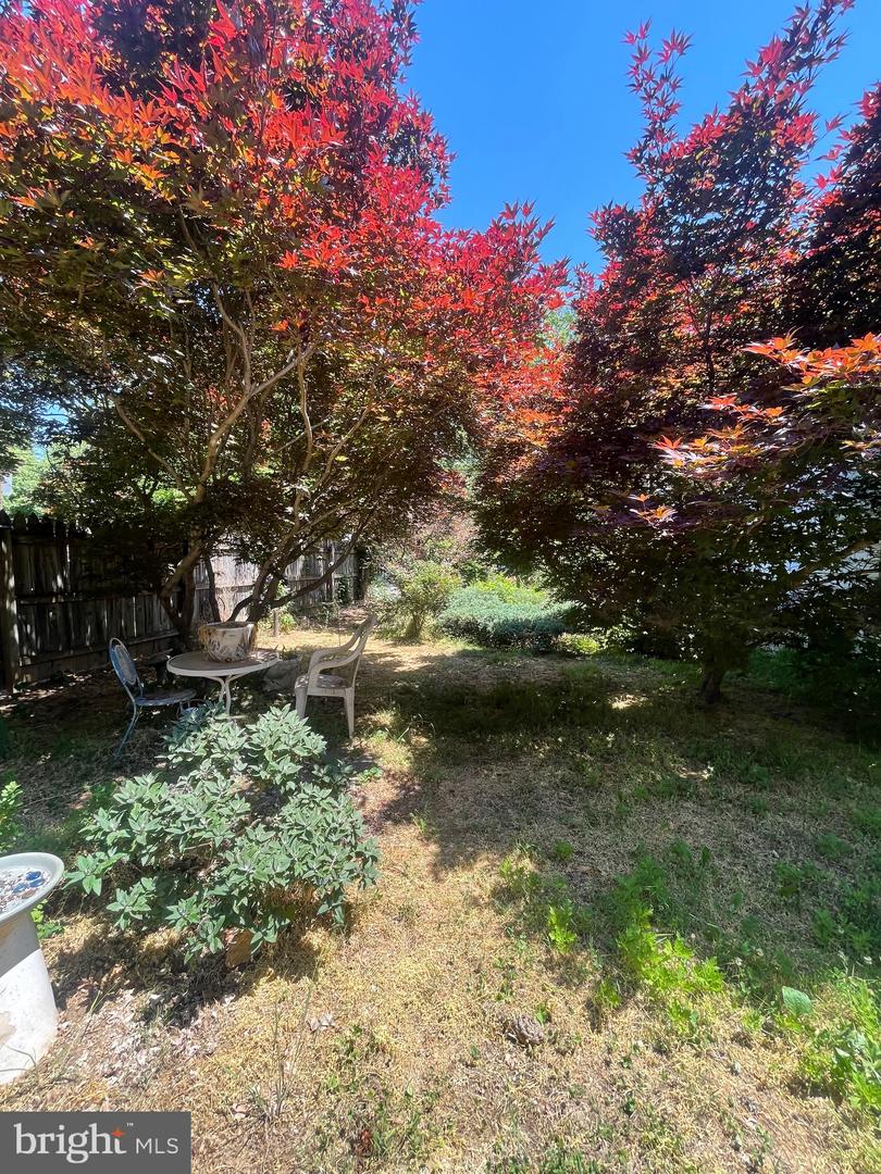 300 Prince Edward St Property Photo 43