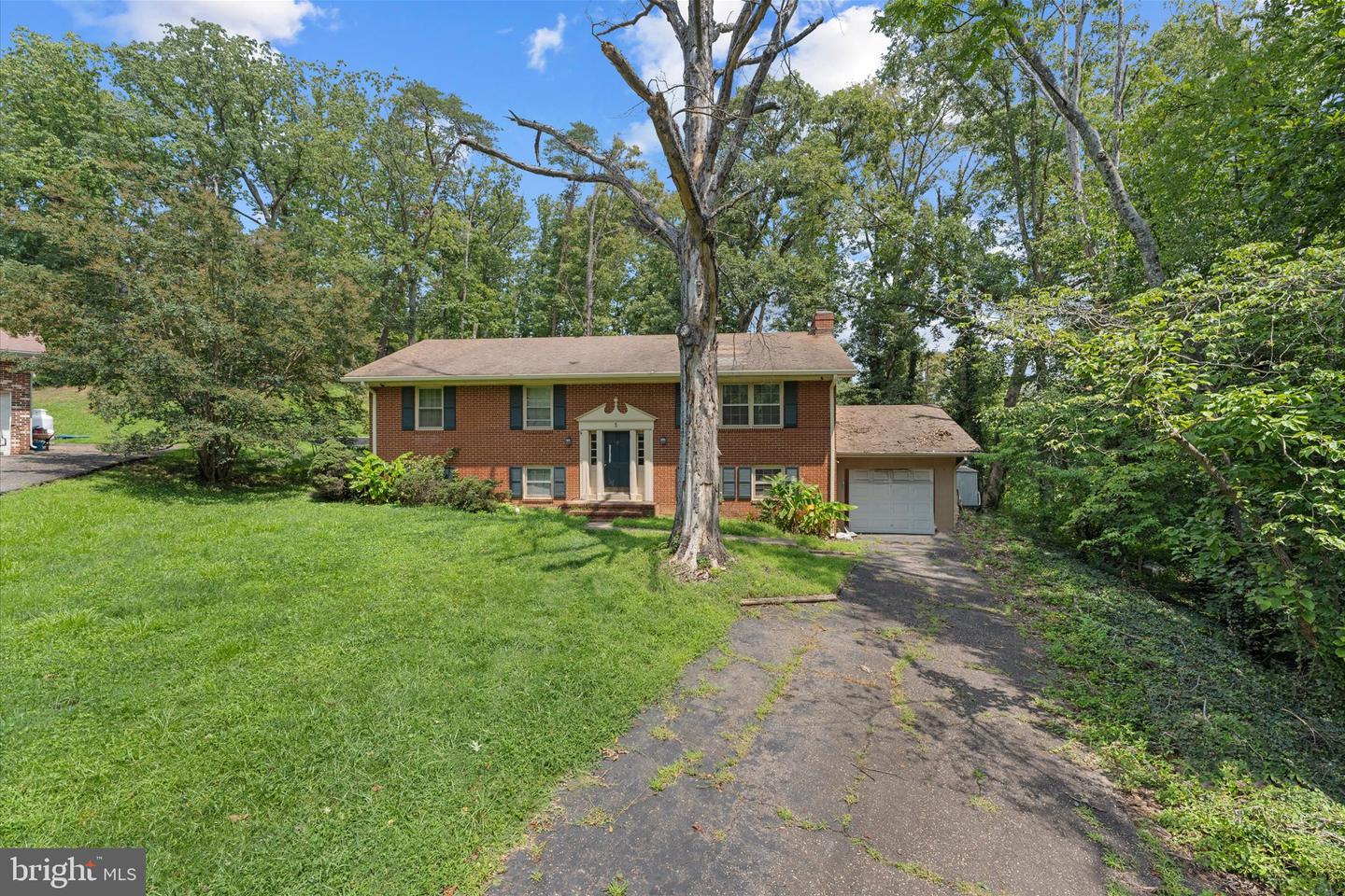 5 Warfield Pl Property Photo 4