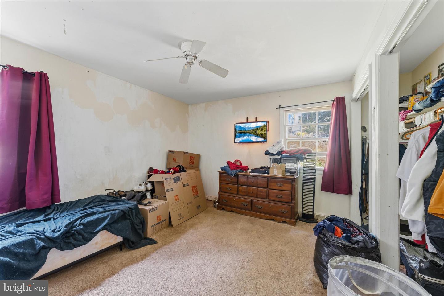 5 Warfield Pl Property Photo 23