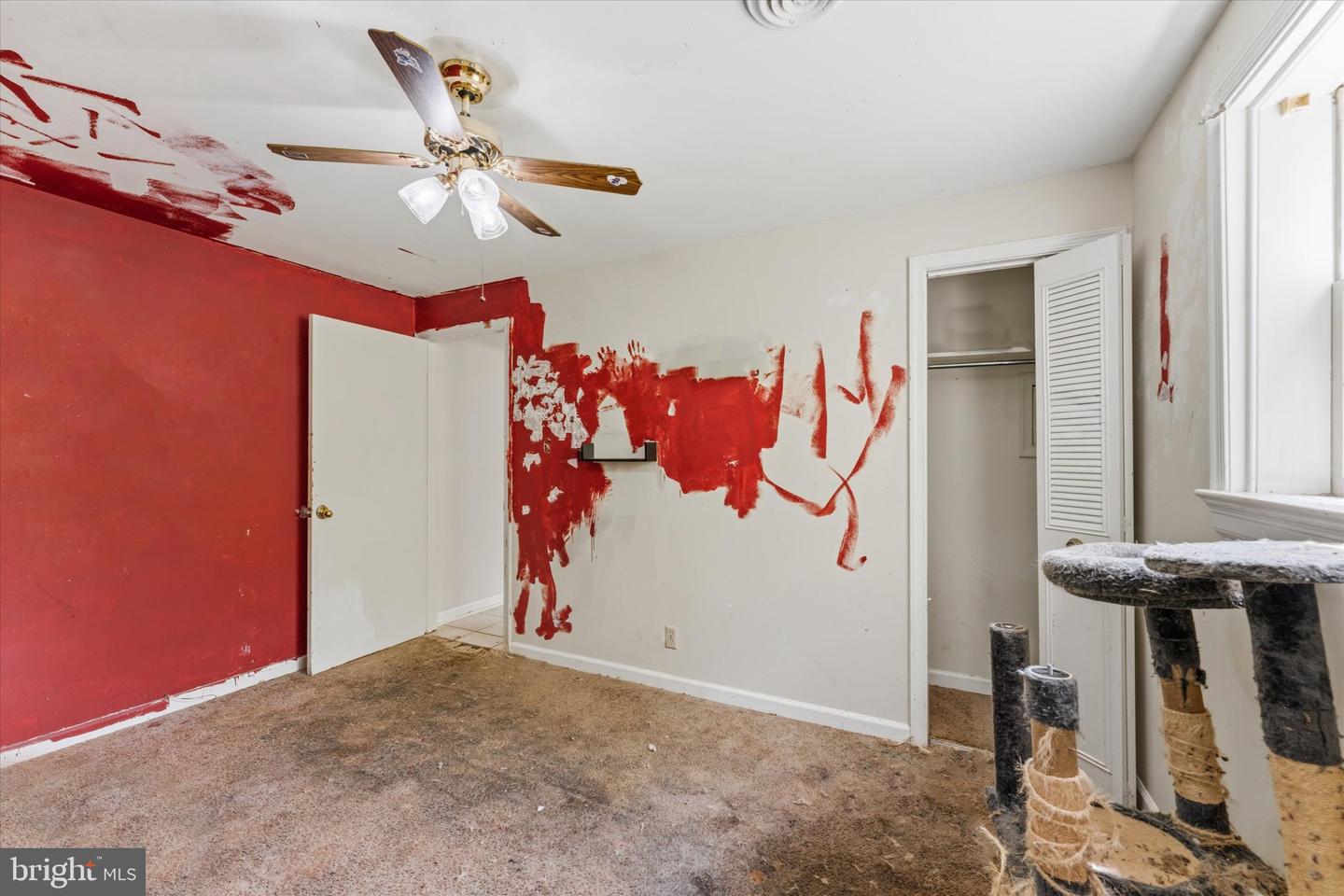 5 Warfield Pl Property Photo 44