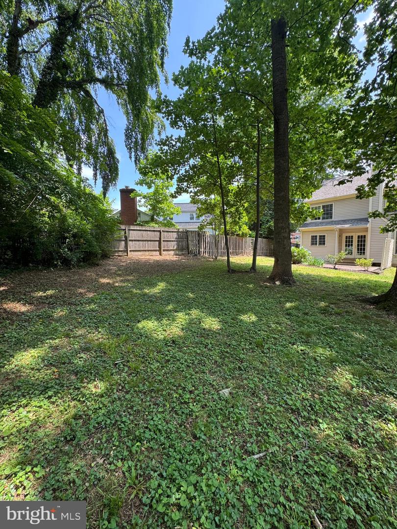 3916 Oak St Property Photo 52