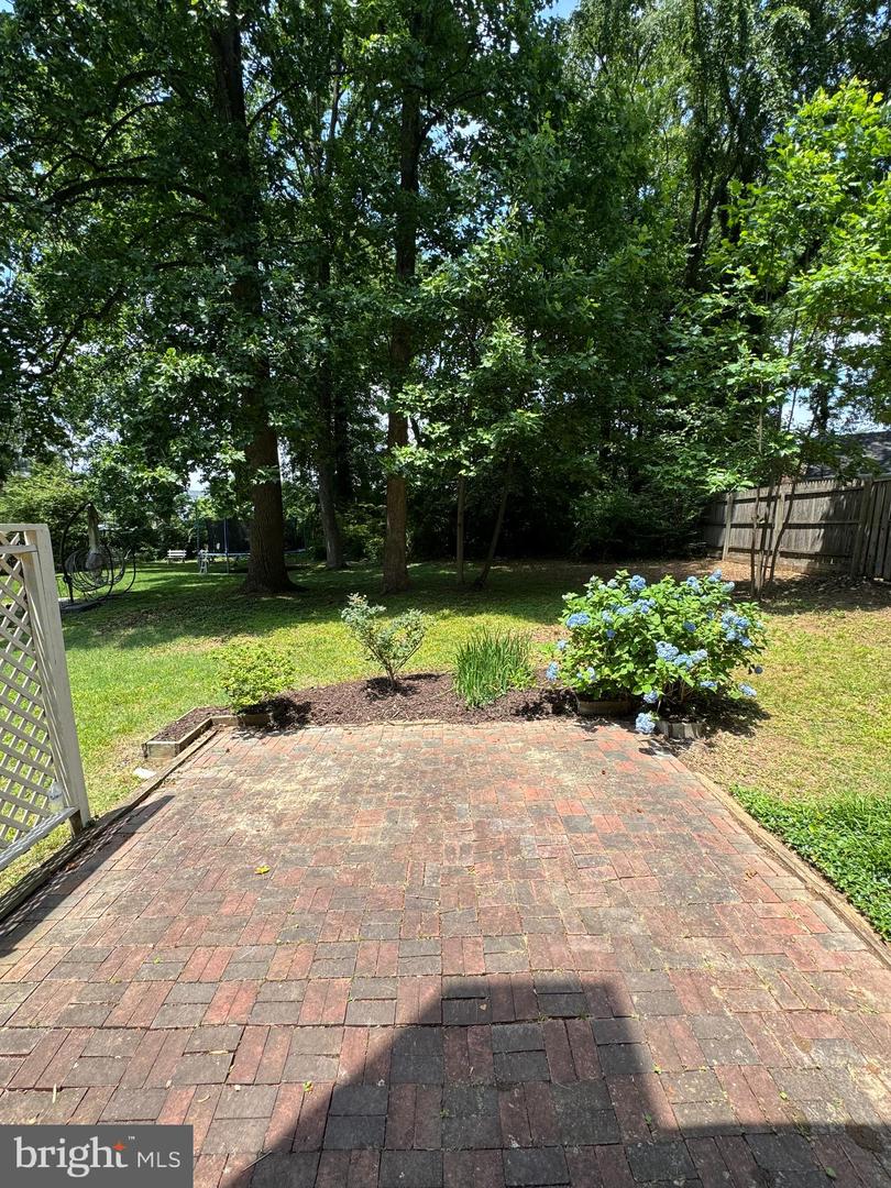 3916 Oak St Property Photo 53