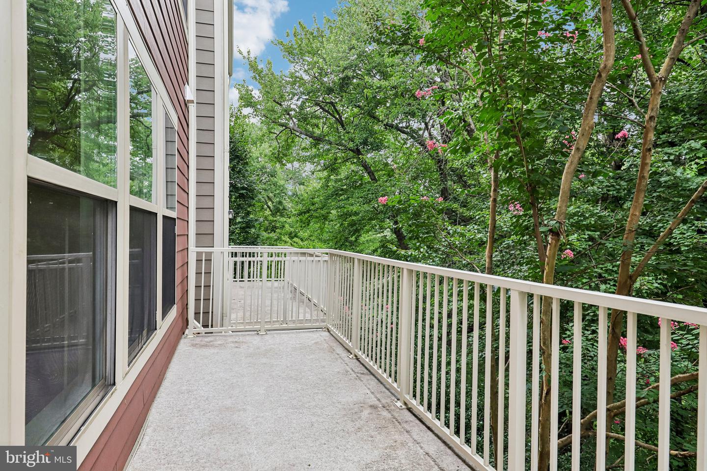 3961 Norton Pl Property Photo 16