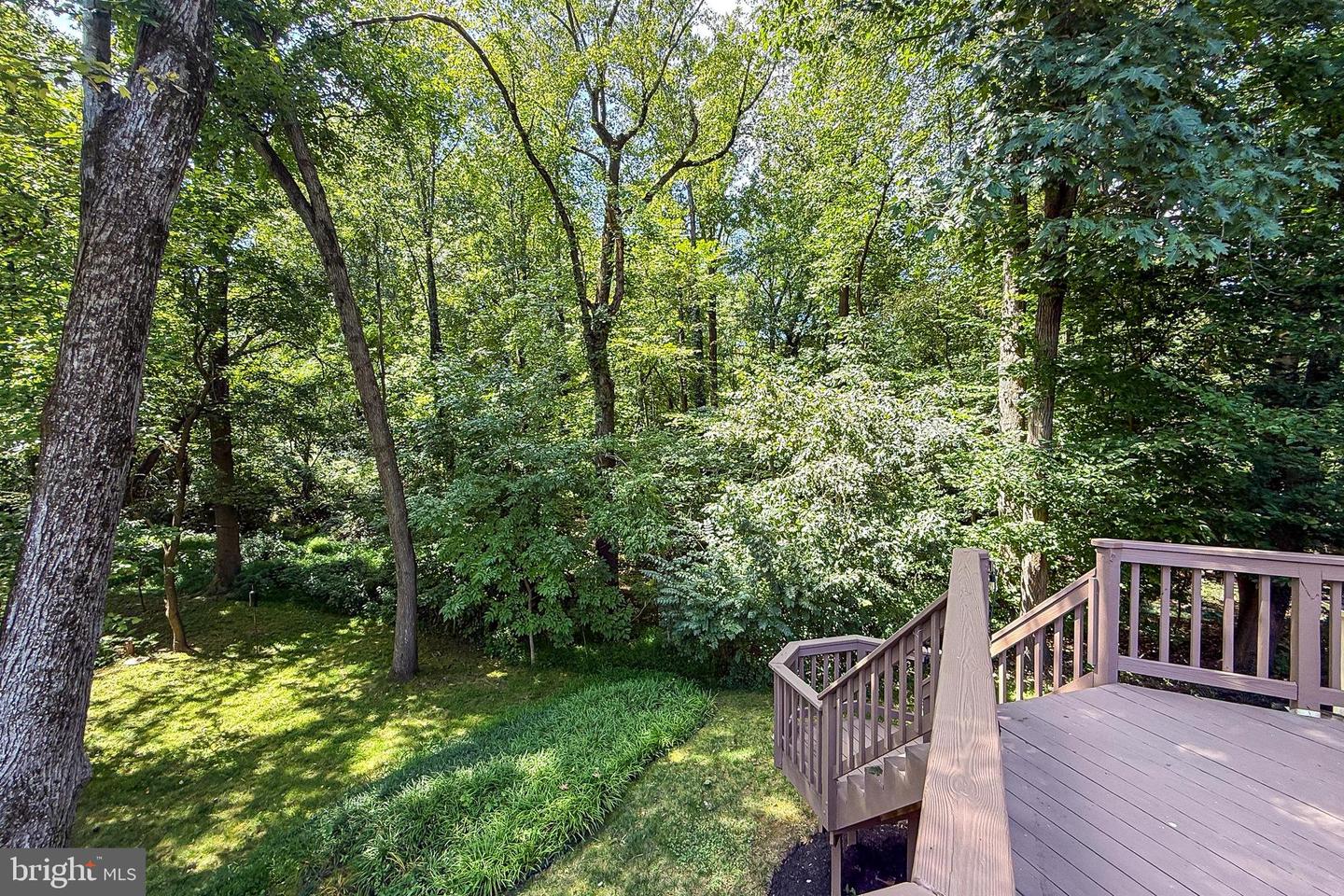 10319 Cardinal Rd Property Photo 51