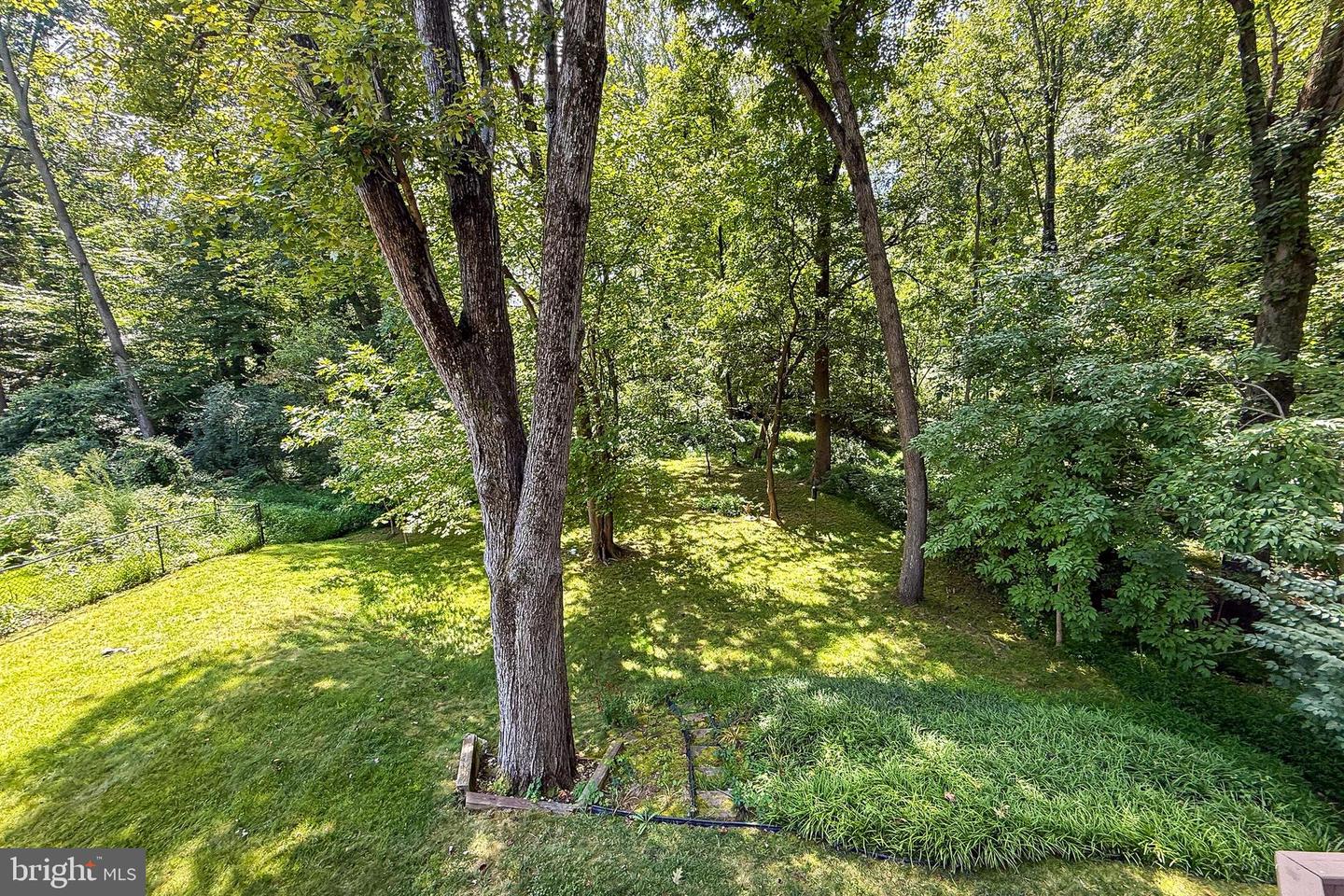 10319 Cardinal Rd Property Photo 57