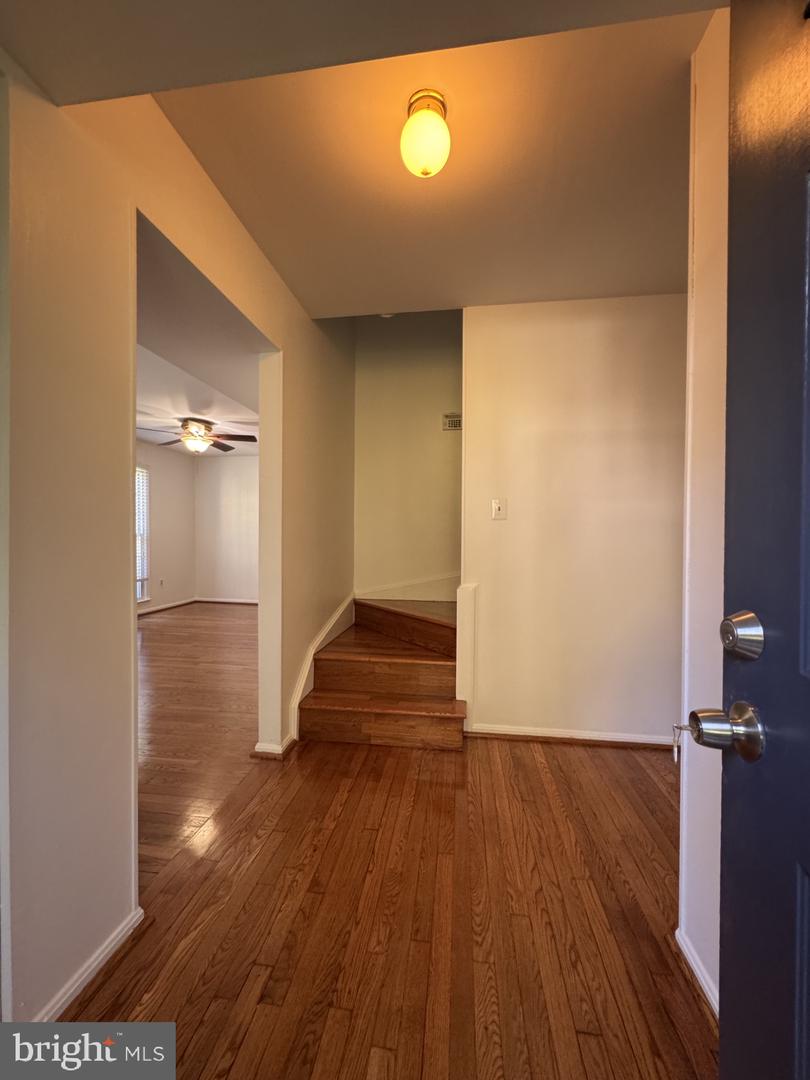 3891 Bradwater St Property Photo 48