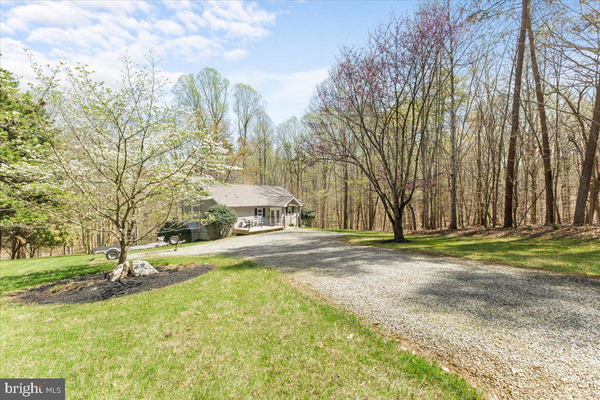 290 Dodee Ln Property Photo 5
