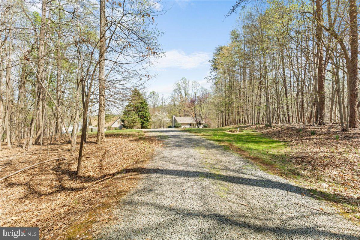 290 Dodee Ln Property Photo 6