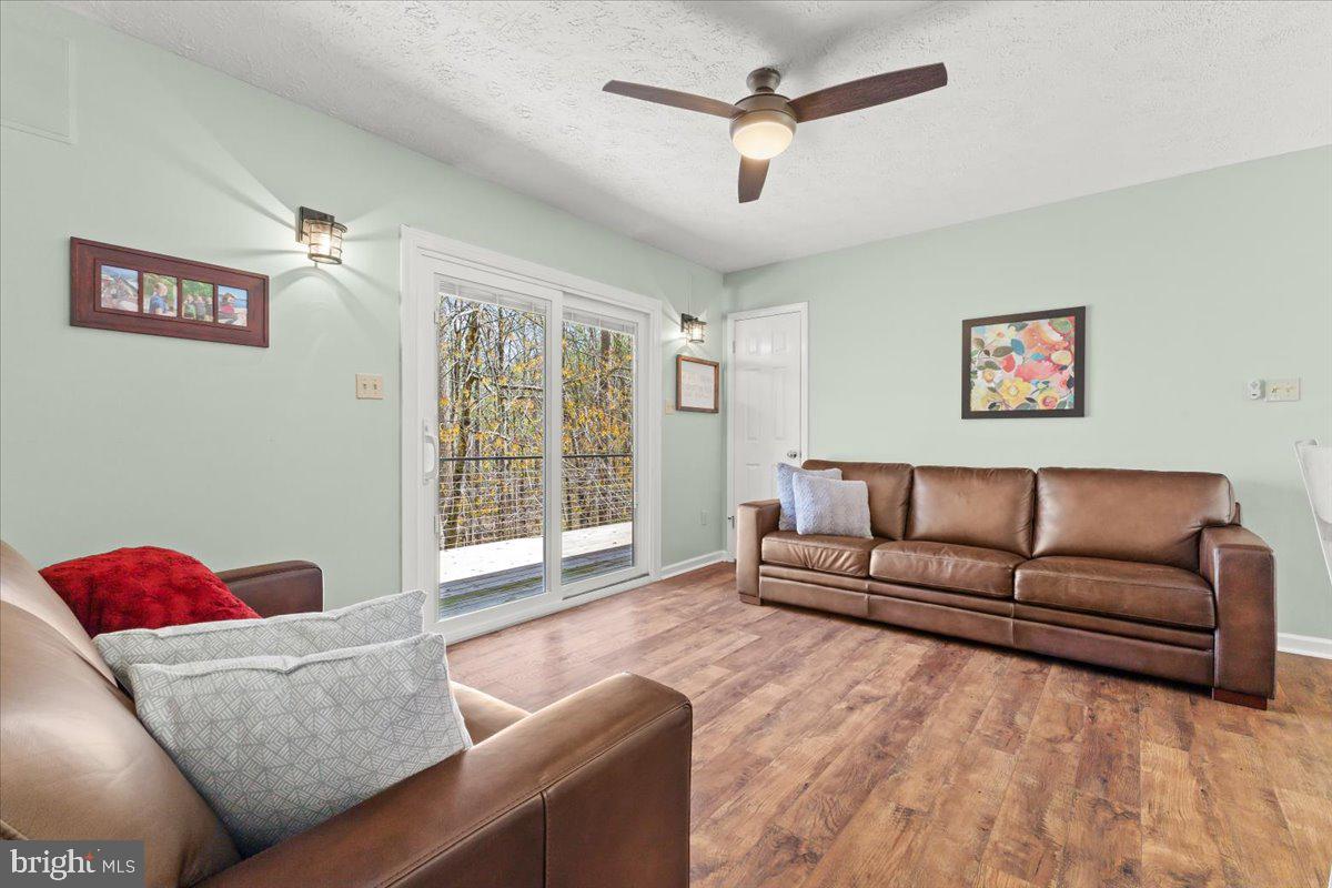 290 Dodee Ln Property Photo 18
