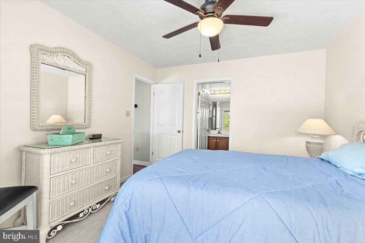 290 Dodee Ln Property Photo 20