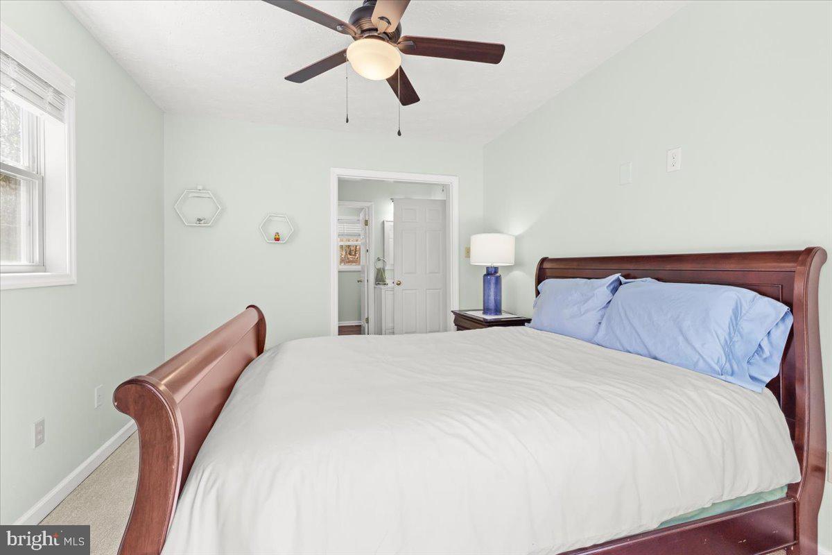 290 Dodee Ln Property Photo 25