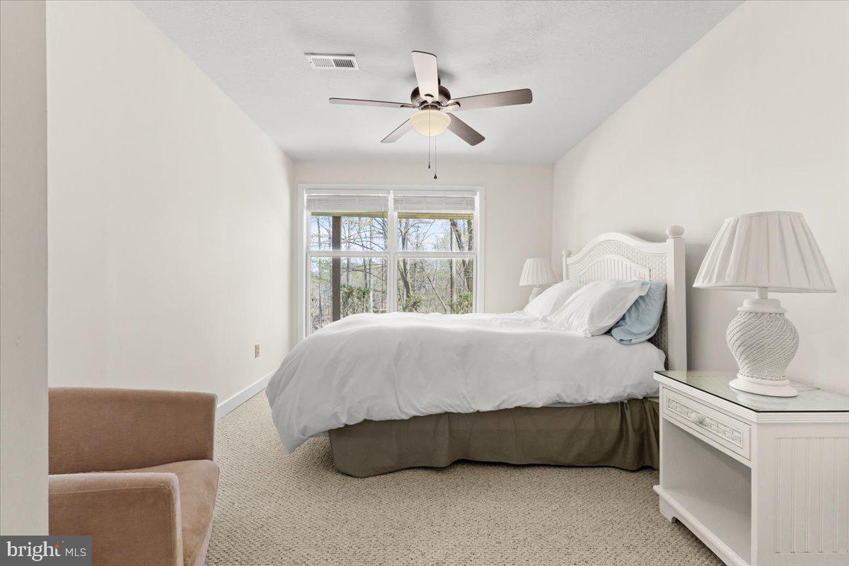 290 Dodee Ln Property Photo 32