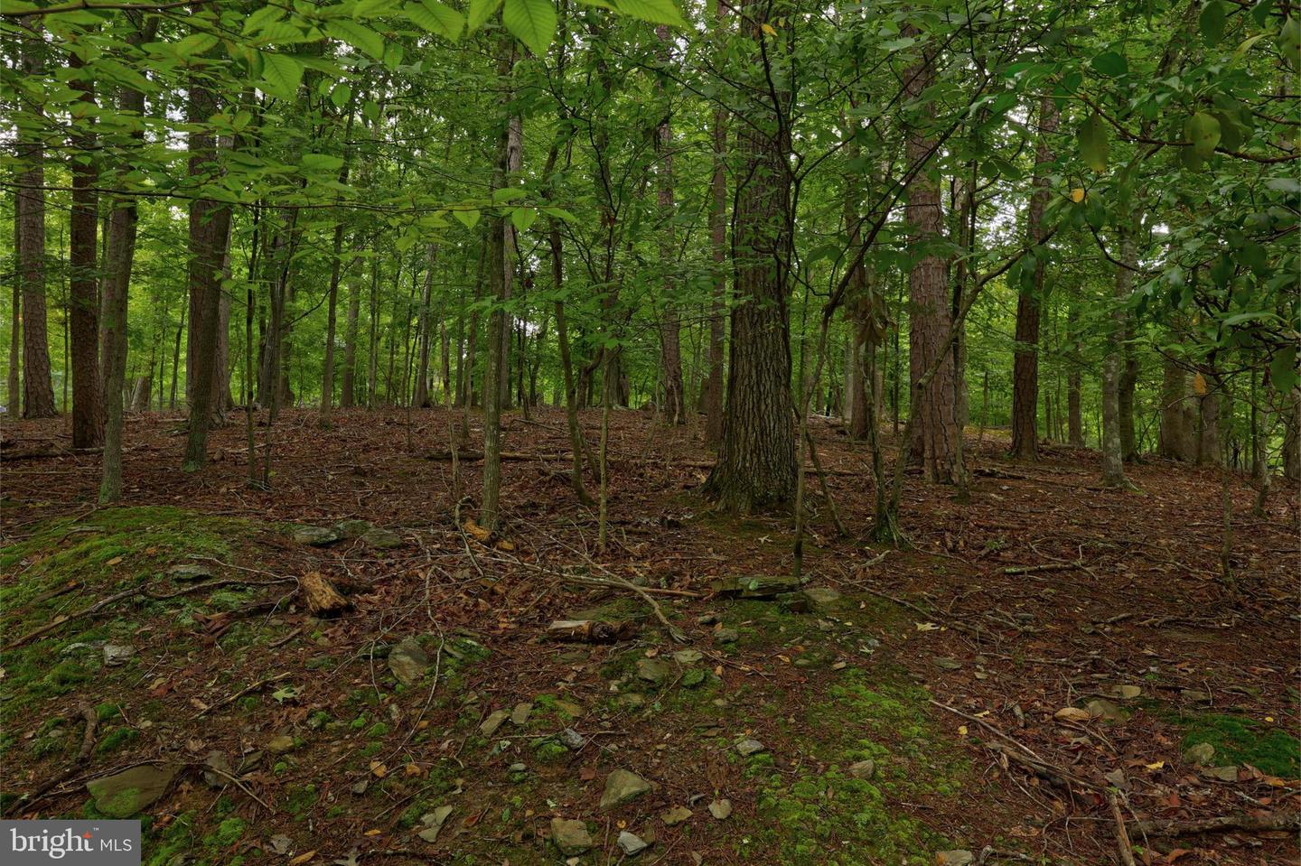 Jefferson Dr Property Photo 5