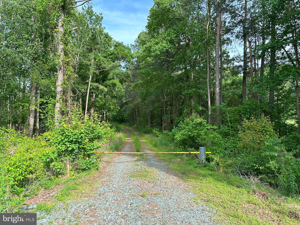 Haden Martin Road Property Photo