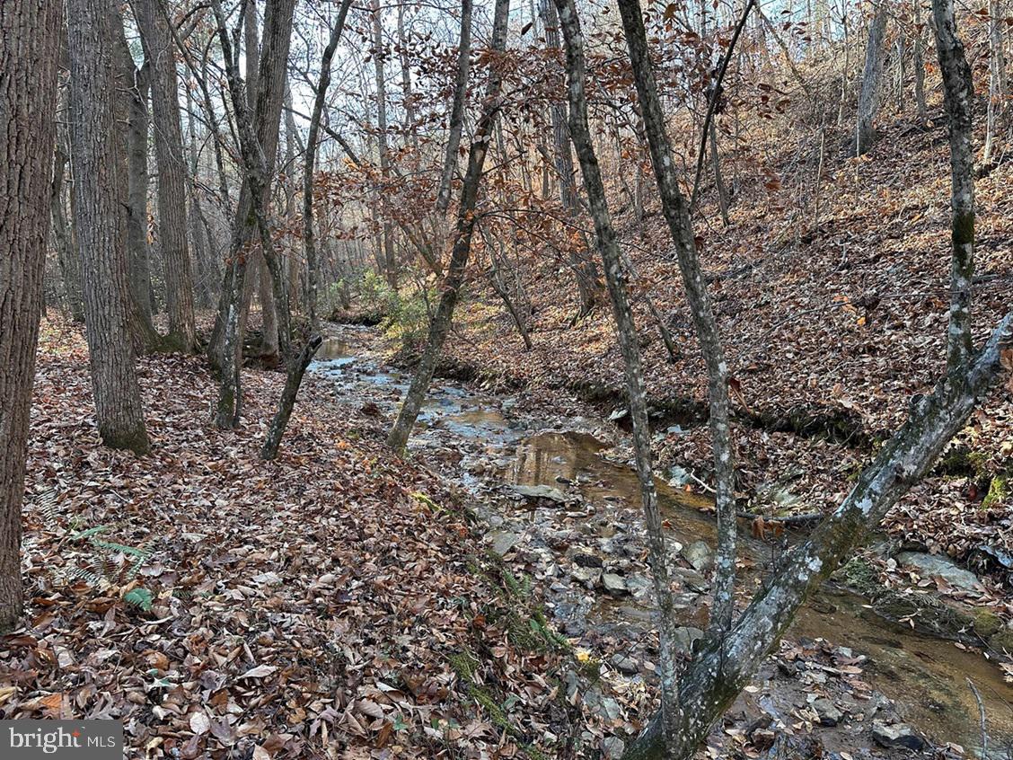 Old Driver Hill Road (tract: H.m. Duval-1) Property Photo 5