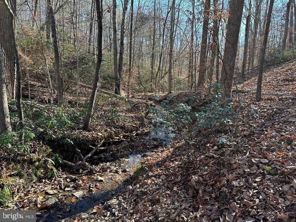 Old Driver Hill Road (tract: H.m. Duval-1) Property Photo 6