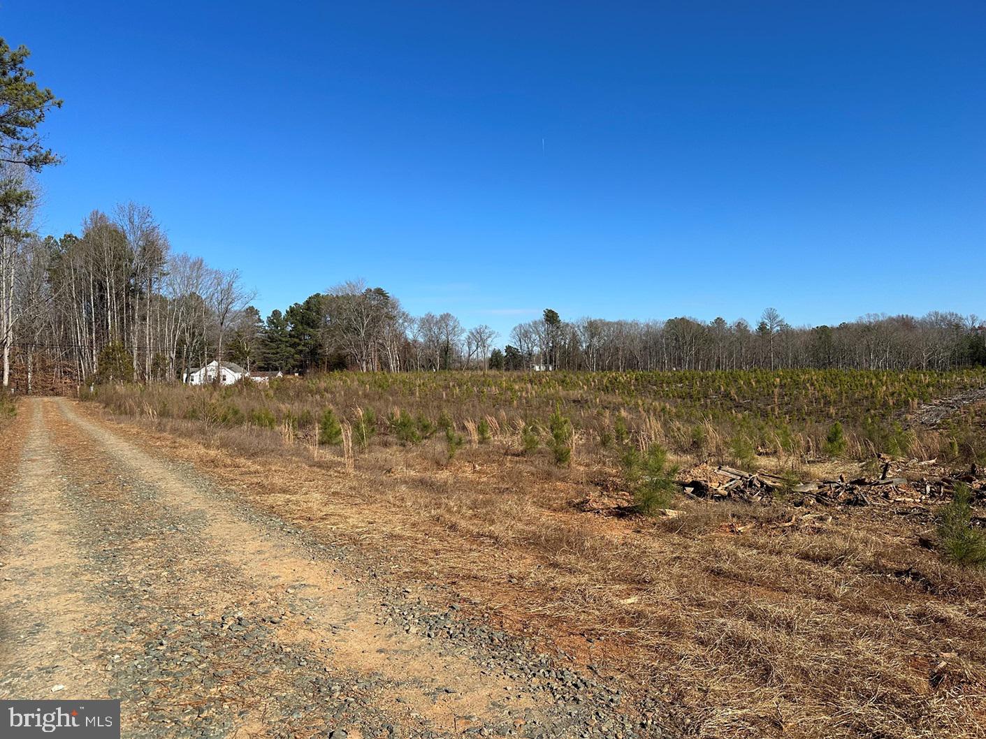 Old Driver Hill Road (tract: H.m. Duval-1) Property Photo 7