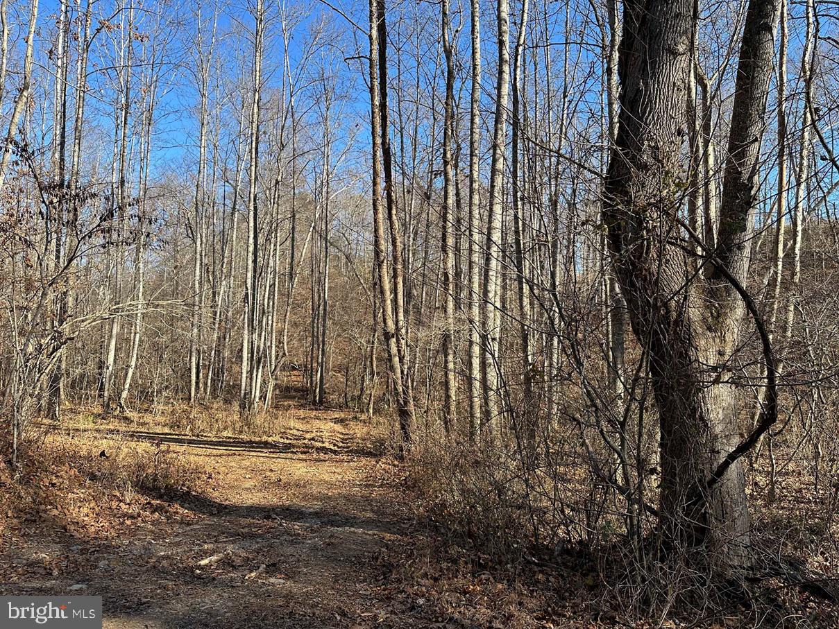 Old Driver Hill Road (tract: H.m. Duval-1) Property Photo 10