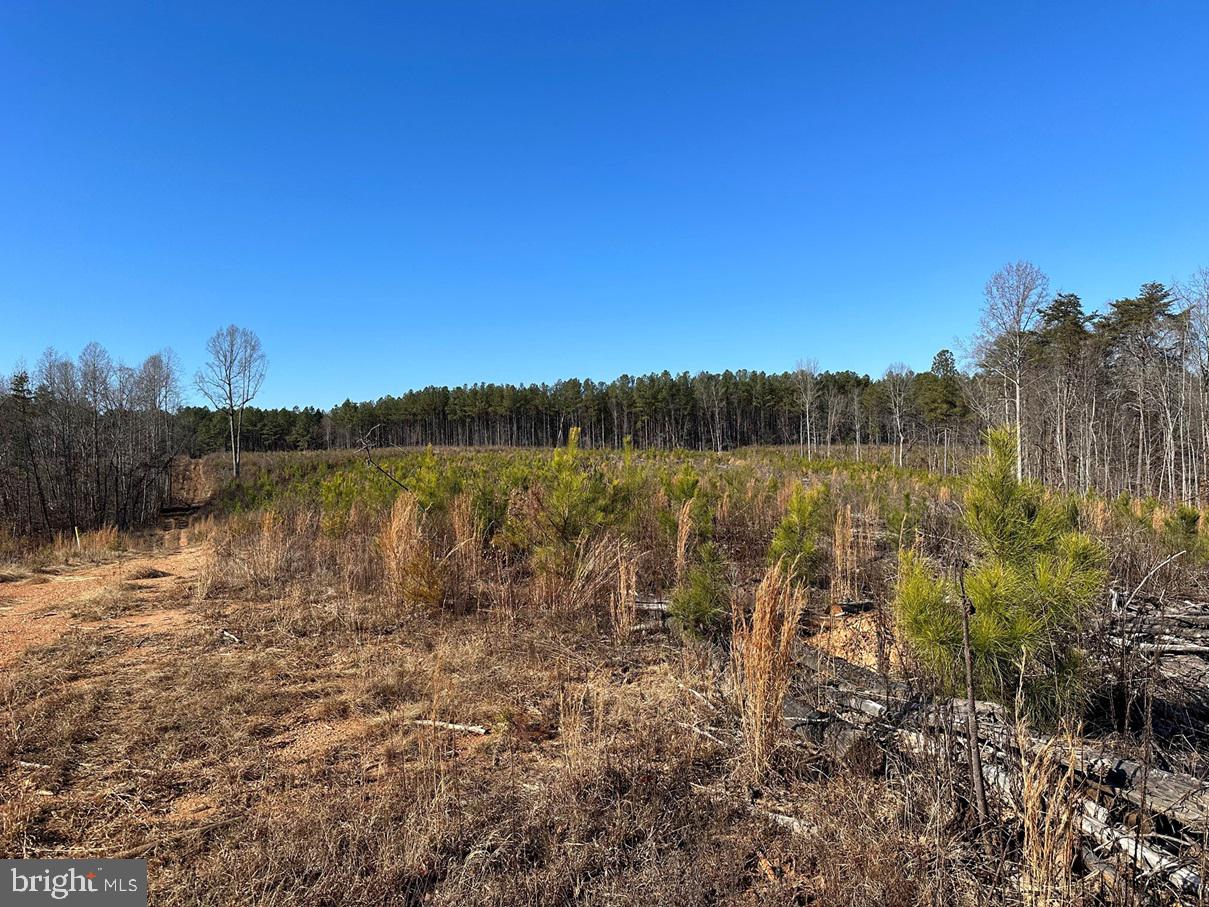 Old Driver Hill Road (tract: H.m. Duval-1) Property Photo 12