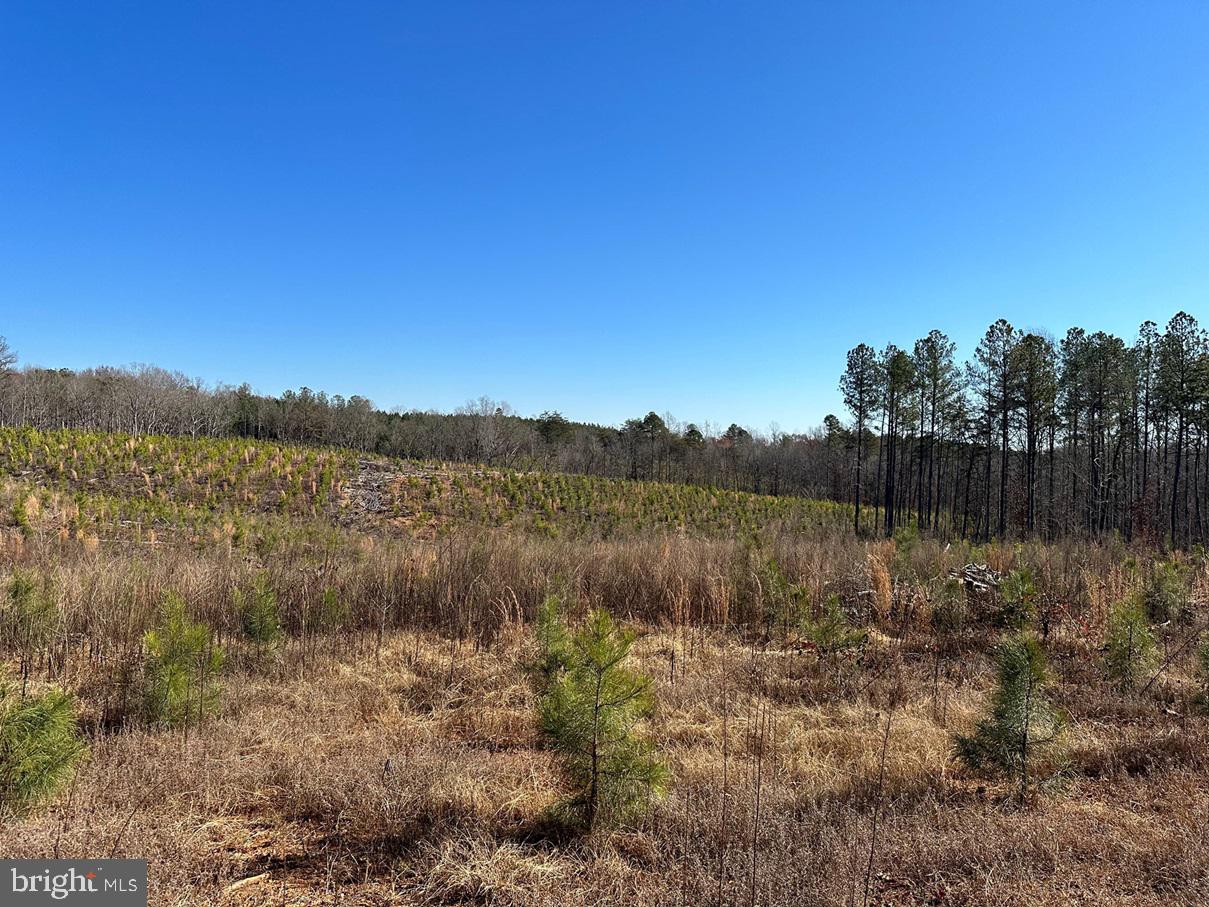 Old Driver Hill Road (tract: H.m. Duval-1) Property Photo 13