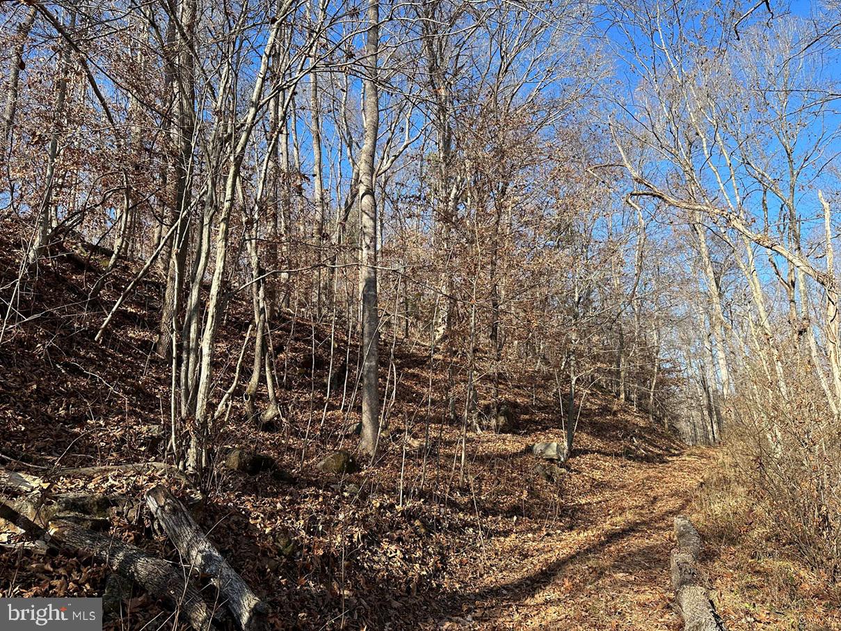 Old Driver Hill Road (tract: H.m. Duval-1) Property Photo 14