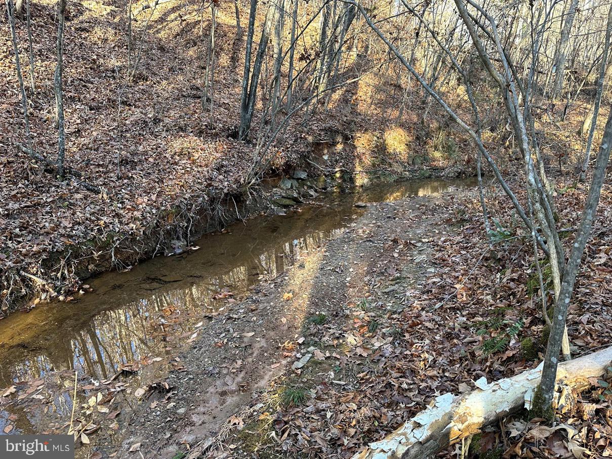 Old Driver Hill Road (tract: H.m. Duval-1) Property Photo 15