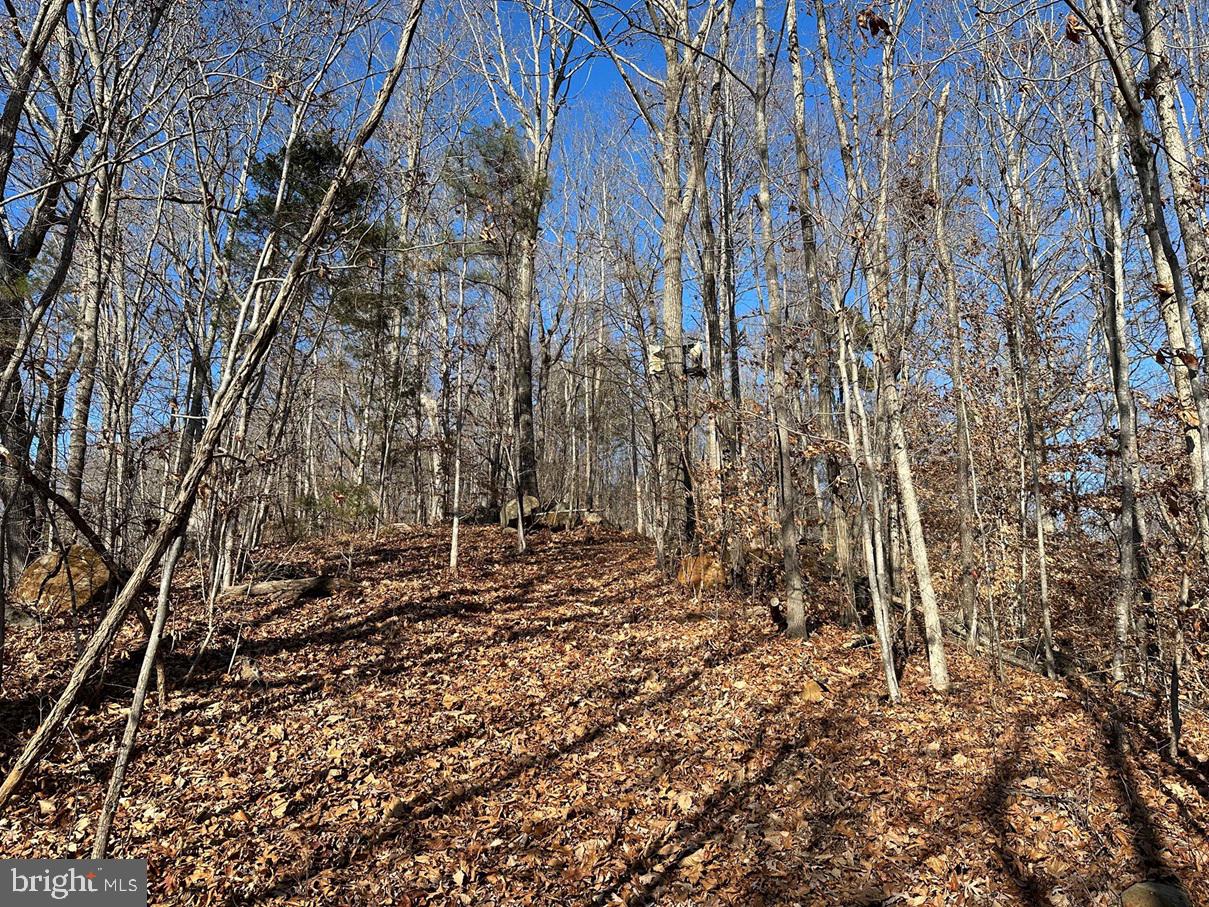 Old Driver Hill Road (tract: H.m. Duval-1) Property Photo 16