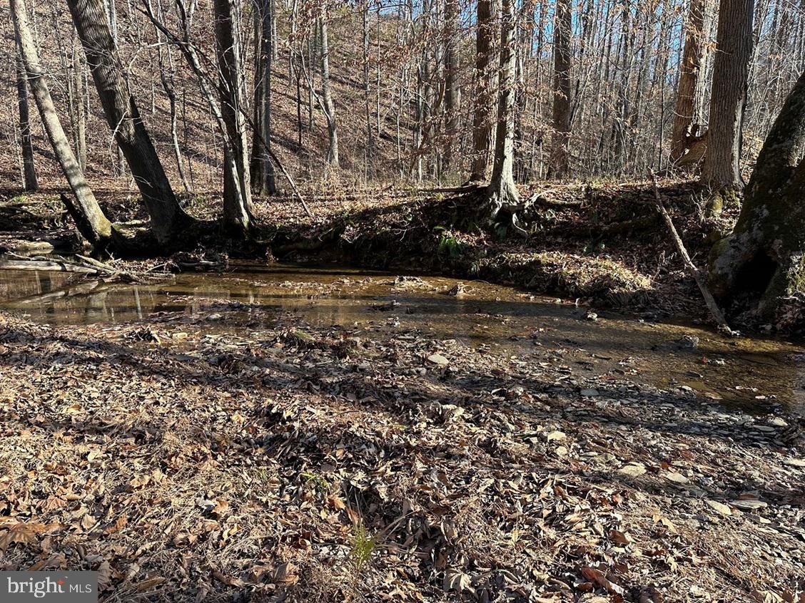Old Driver Hill Road (tract: H.m. Duval-1) Property Photo 17