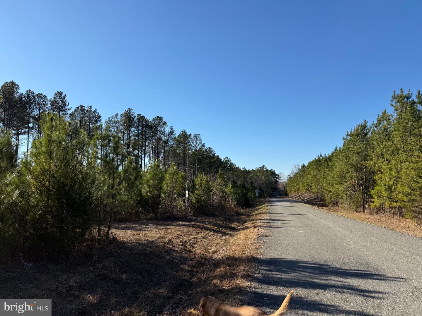 Tbd Community House Rd Lot 7 Property Photo 2