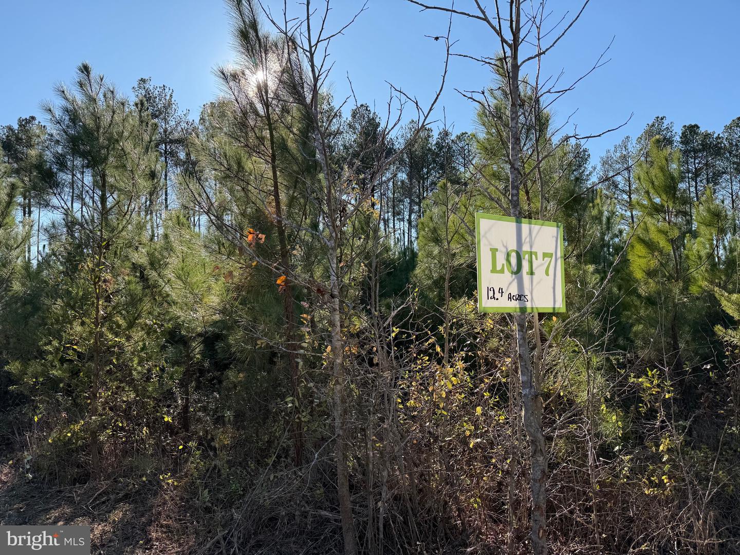 Tbd Community House Rd Lot 7 Property Photo 3
