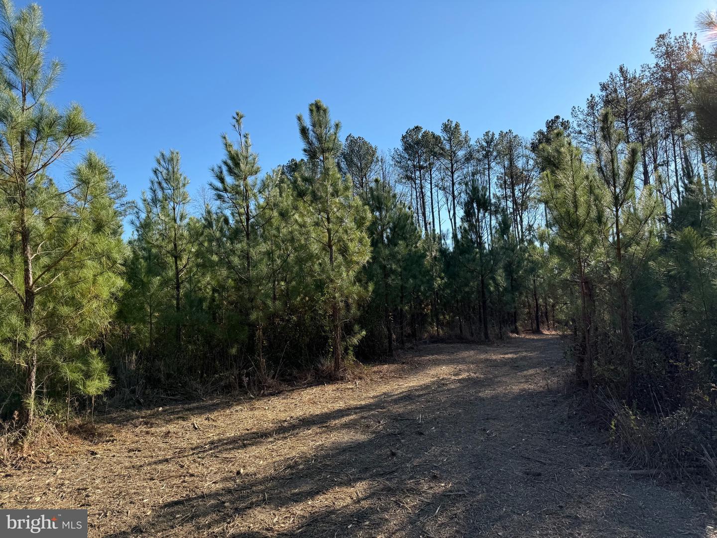 Tbd Community House Rd Lot 7 Property Photo 4