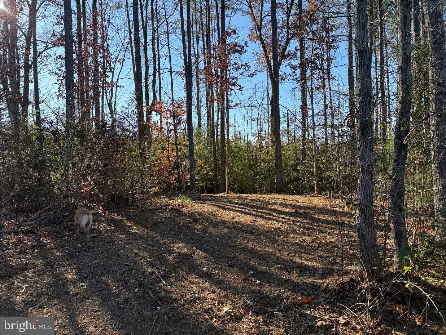 Tbd Community House Rd Lot 7 Property Photo 6