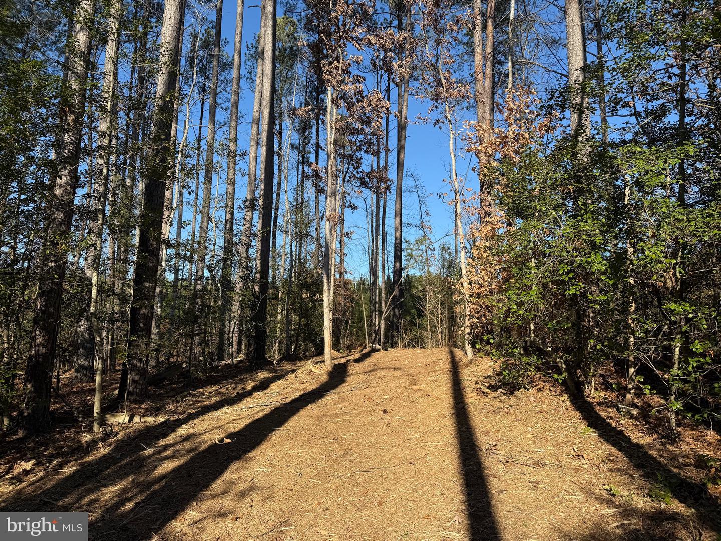 Tbd Community House Rd Lot 7 Property Photo 8