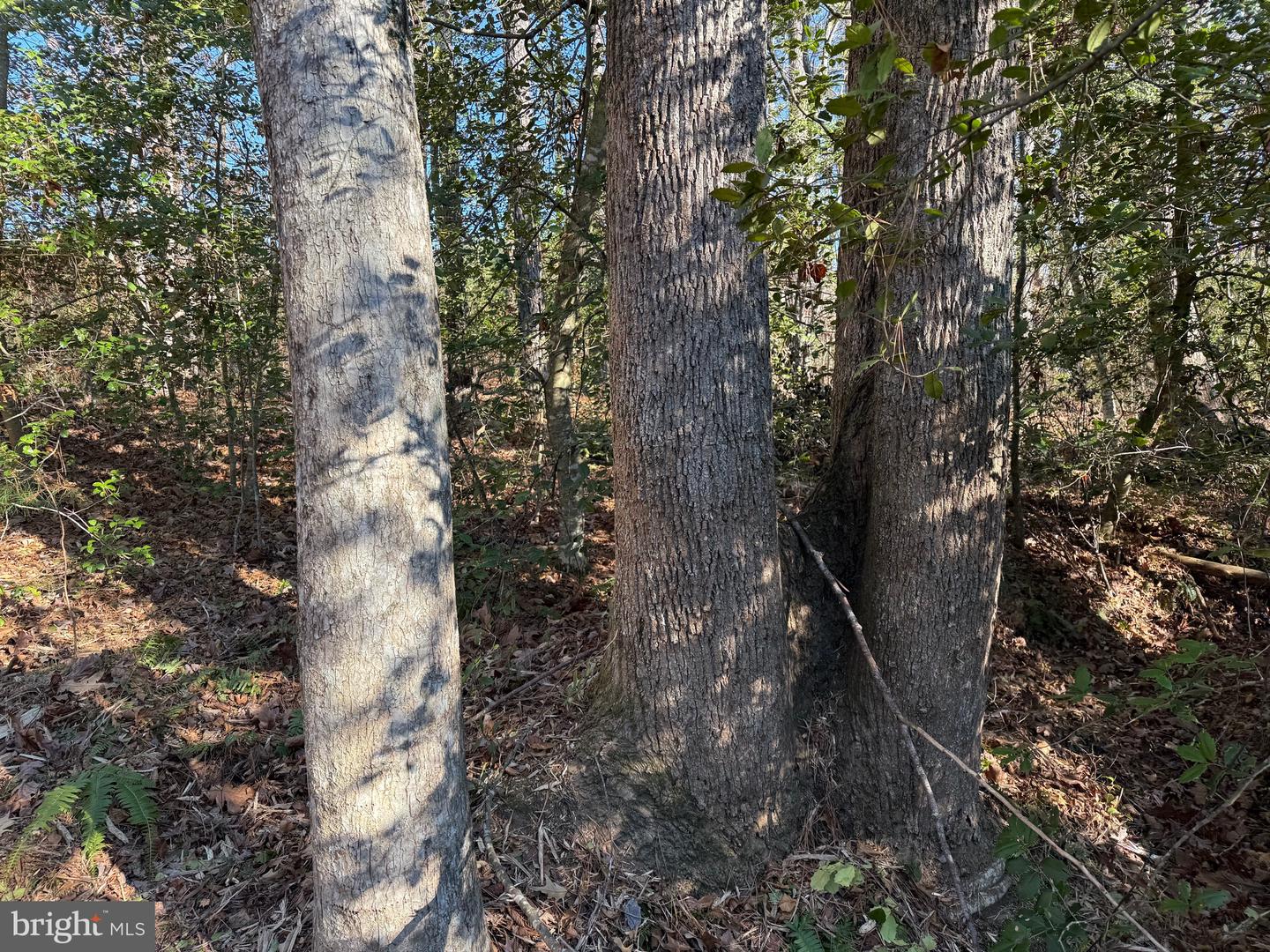 Tbd Community House Rd Lot 7 Property Photo 9