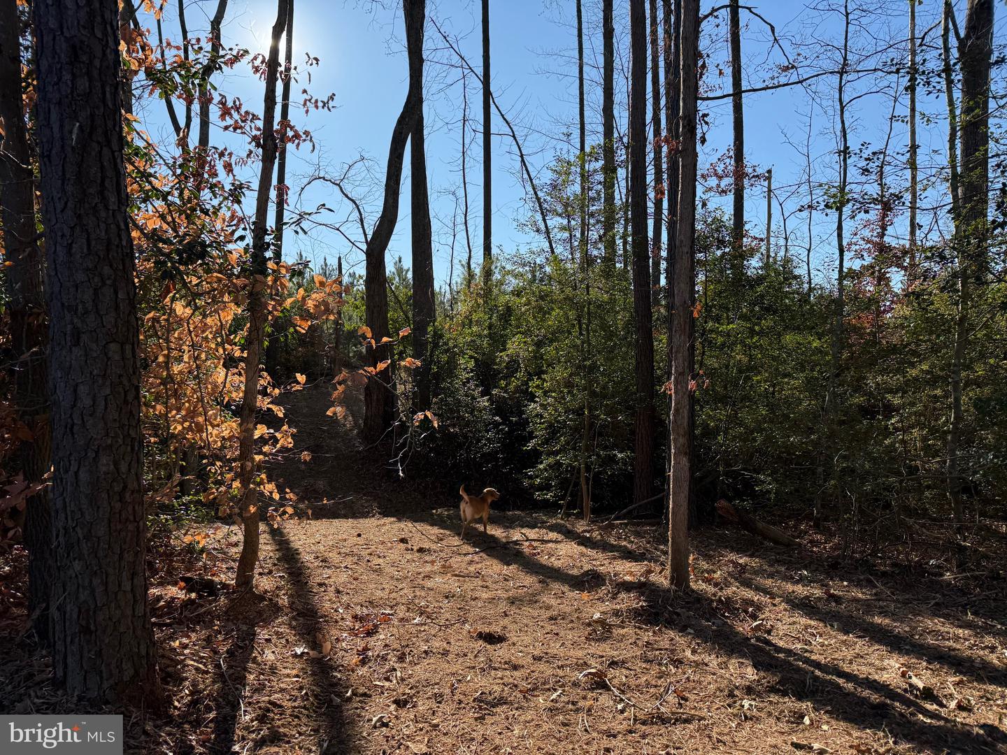 Tbd Community House Rd Lot 7 Property Photo 10
