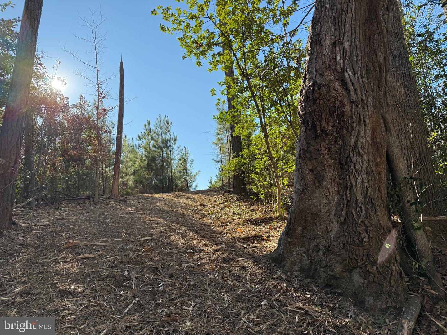 Tbd Community House Rd Lot 7 Property Photo 12