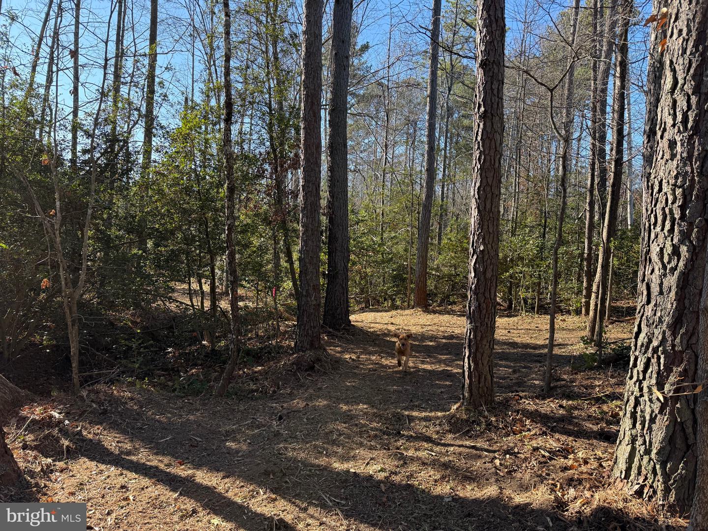 Tbd Community House Rd Lot 7 Property Photo 13
