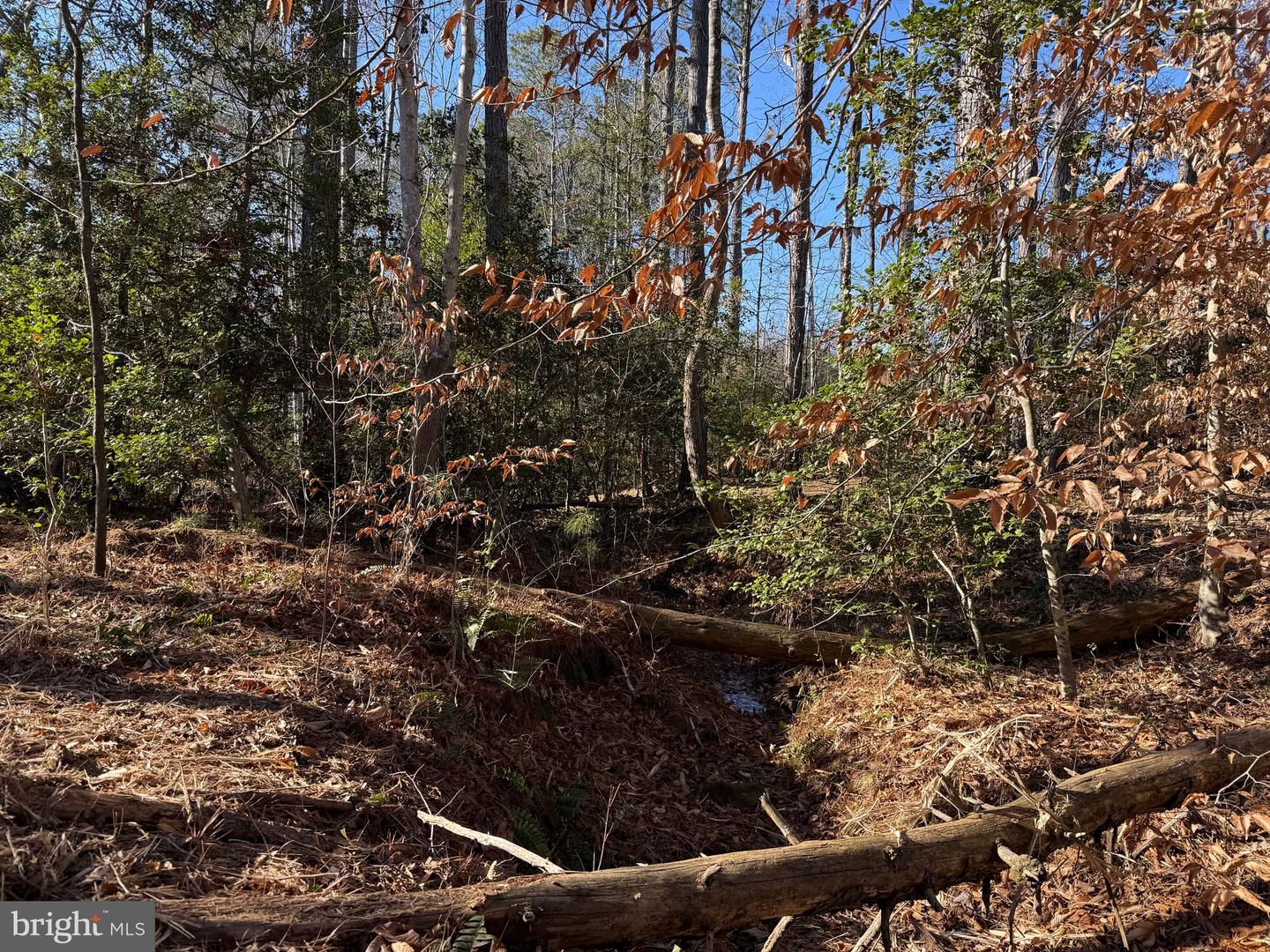 Tbd Community House Rd Lot 7 Property Photo 14