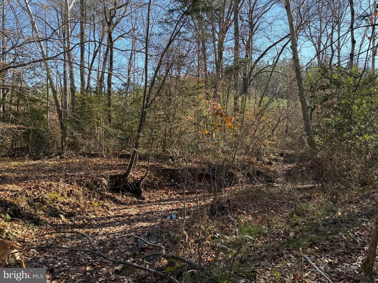 Tbd Community House Rd Lot 7 Property Photo 21