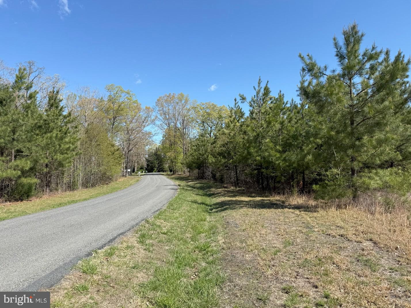Bluebird Lane Bluebird Lane Property Photo 4