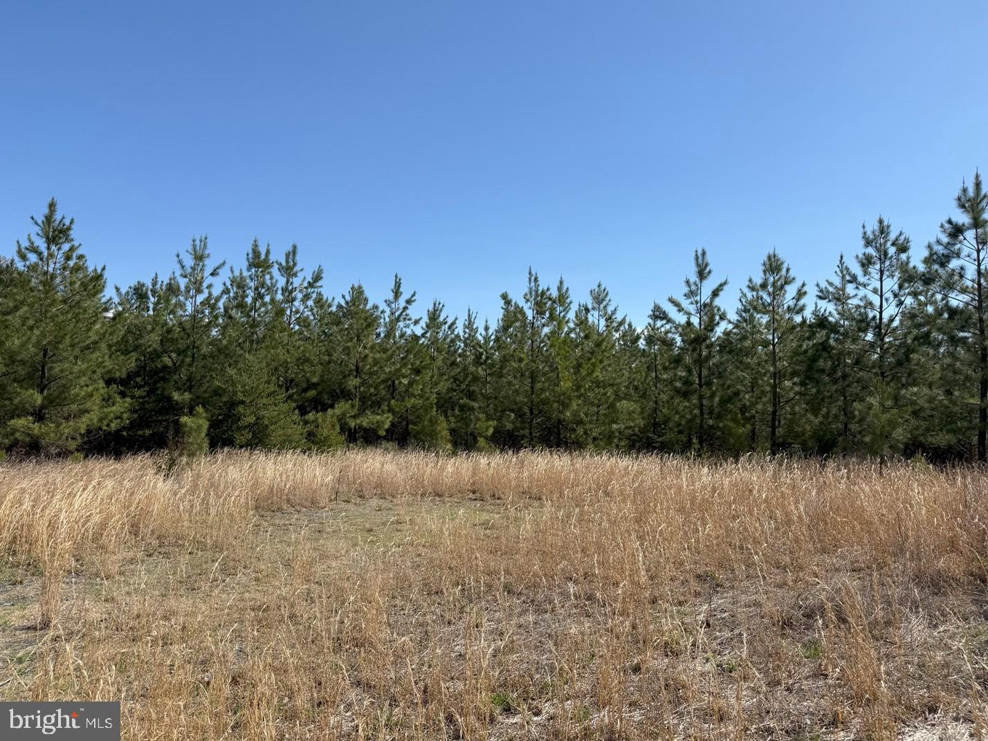 Bluebird Lane Bluebird Lane Property Photo 6