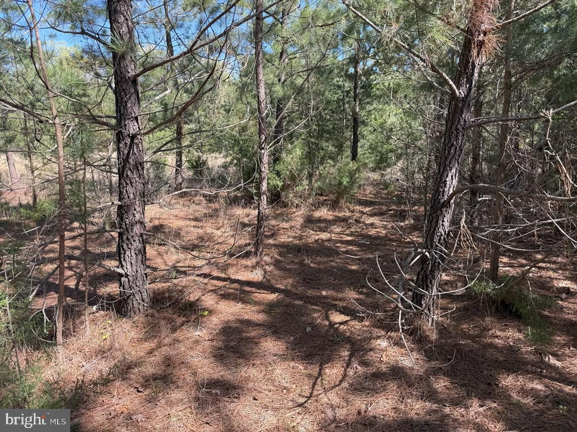 Bluebird Lane Bluebird Lane Property Photo 7