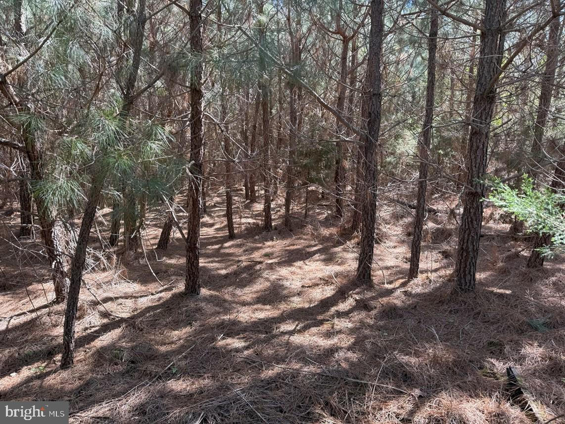 Bluebird Lane Bluebird Lane Property Photo 8