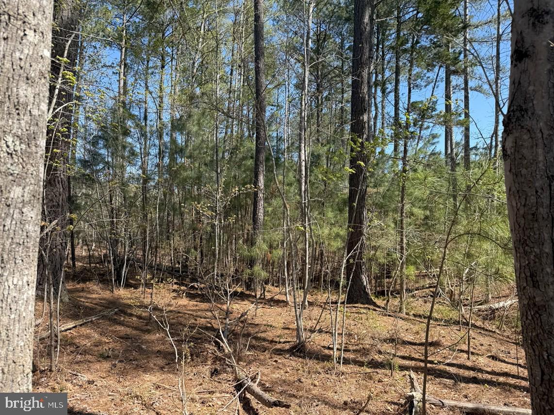 Bluebird Lane Bluebird Lane Property Photo 9