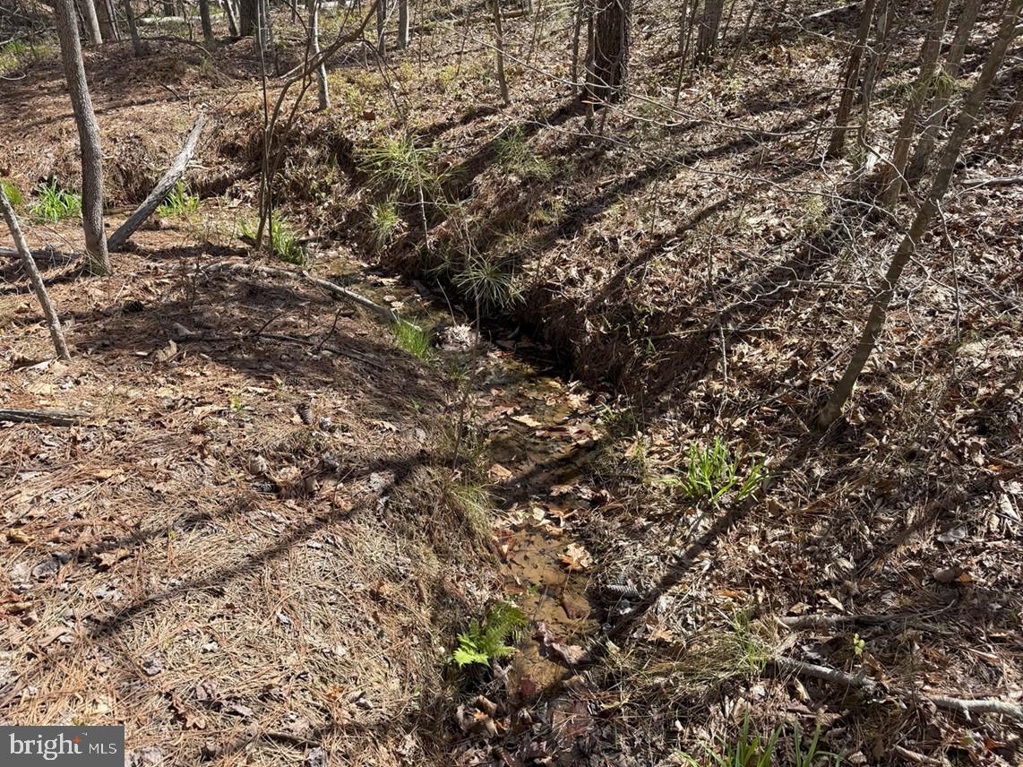 Bluebird Lane Bluebird Lane Property Photo 11