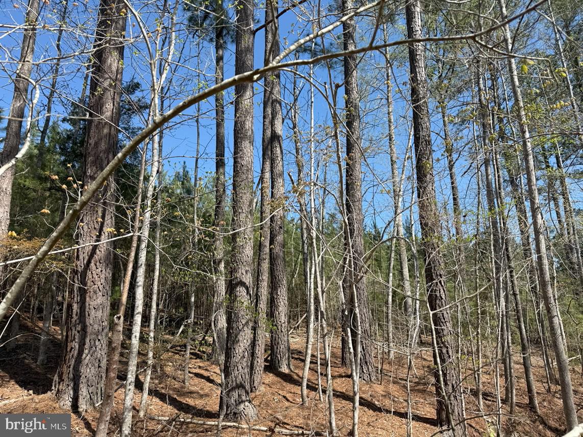 Bluebird Lane Bluebird Lane Property Photo 12