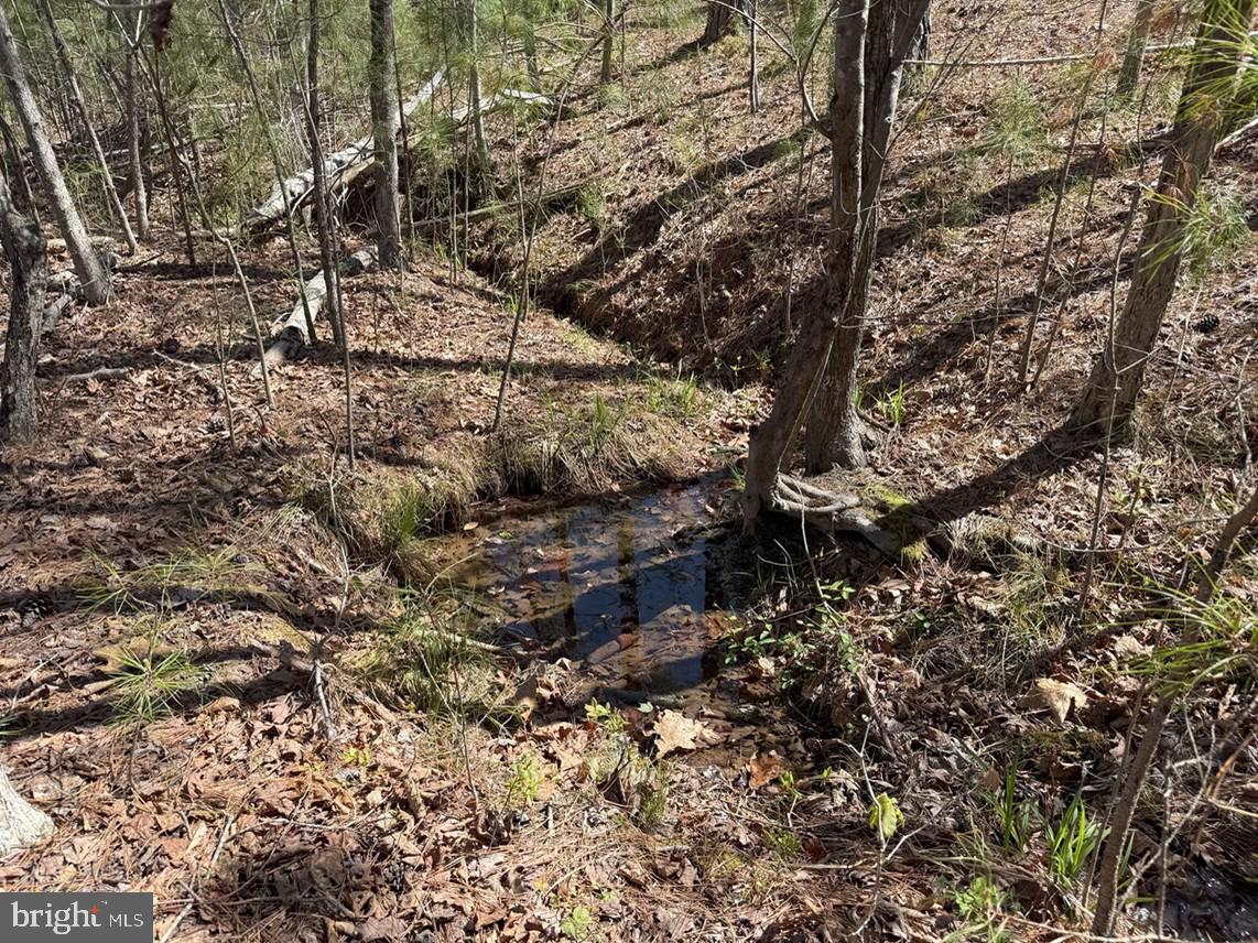 Bluebird Lane Bluebird Lane Property Photo 13